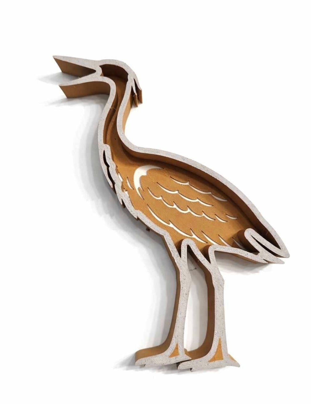 Vulvorm reiger