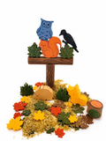 Herfstbox "Pippa en de vermiste egel"