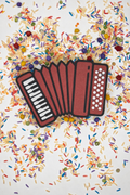 Vulvorm accordeon